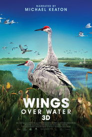 Wings Over Water Movie Poster