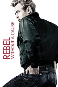 Rebel Without a Cause Movie Poster